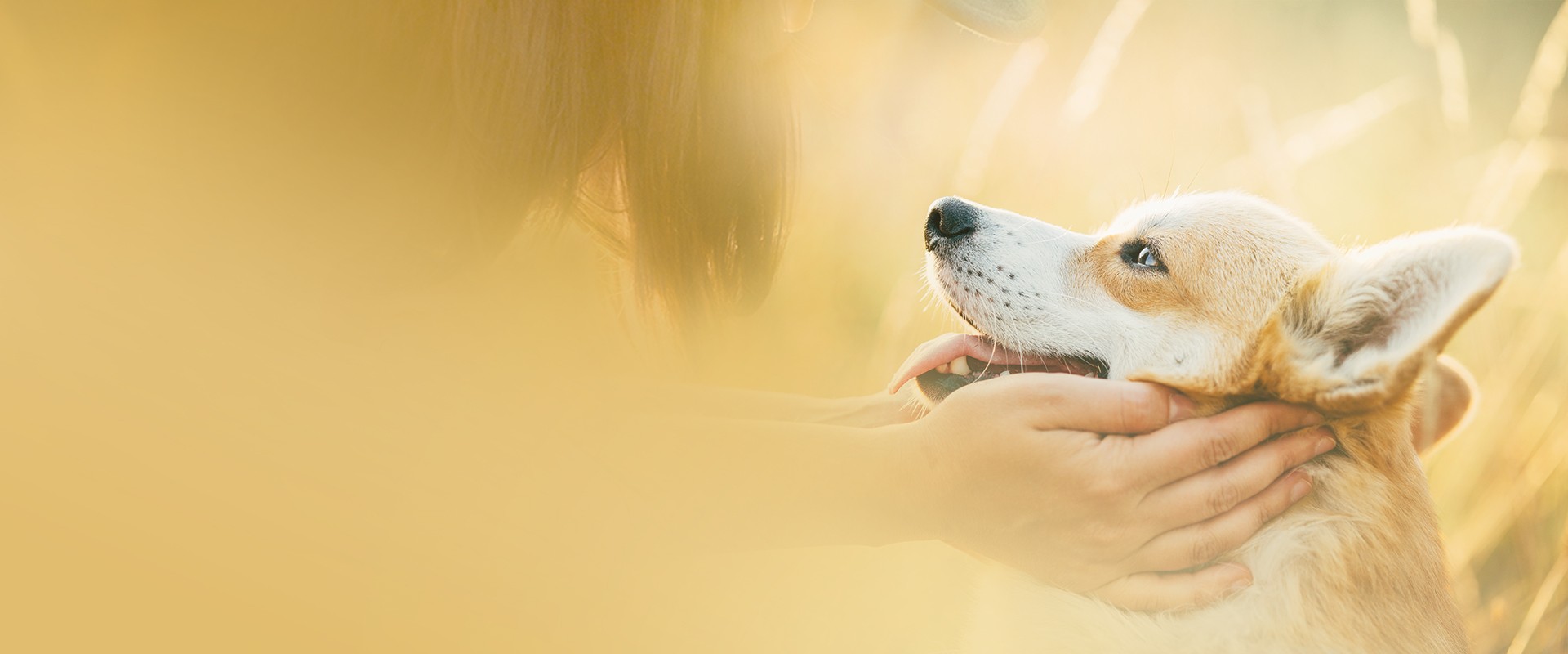 We produce pet products based on the rigorous spirit of a pharmaceutical manufacturer.