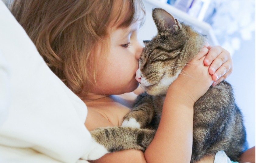Corporate History And The Story behind SINGEN Pet Health | SINGEN for Pet Owners